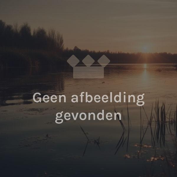 Maxima 820 retro Elektrisch